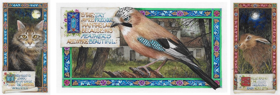 jay banner jpg.jpg
