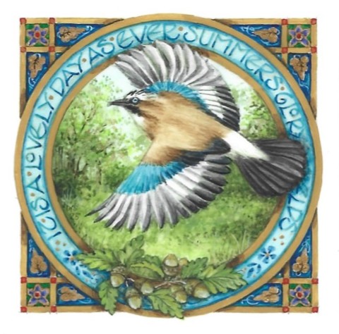 Jay
