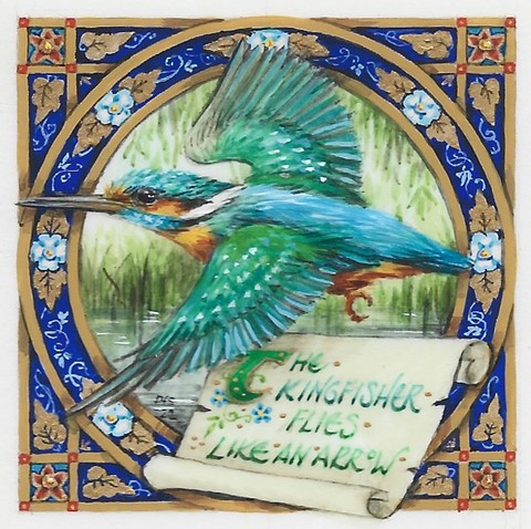 kingfisher