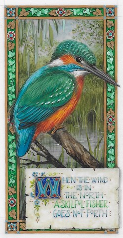 kingfisher